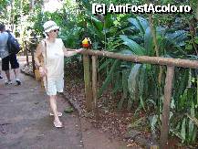 [P16] untucano in conversatie cu mine » foto by grecudoina
 - 
<span class="allrVoted glyphicon glyphicon-heart hidden" id="av292638"></span>
<a class="m-l-10 hidden" id="sv292638" onclick="voting_Foto_DelVot(,292638,26278)" role="button">șterge vot <span class="glyphicon glyphicon-remove"></span></a>
<a id="v9292638" class=" c-red"  onclick="voting_Foto_SetVot(292638)" role="button"><span class="glyphicon glyphicon-heart-empty"></span> <b>LIKE</b> = Votează poza</a> <img class="hidden"  id="f292638W9" src="/imagini/loader.gif" border="0" /><span class="AjErrMes hidden" id="e292638ErM"></span>