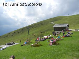 [P17] Val Gardena - Seceda, pe pajiște lângă cabana Sofie » foto by doina_c24
 - 
<span class="allrVoted glyphicon glyphicon-heart hidden" id="av1158542"></span>
<a class="m-l-10 hidden" id="sv1158542" onclick="voting_Foto_DelVot(,1158542,26281)" role="button">șterge vot <span class="glyphicon glyphicon-remove"></span></a>
<a id="v91158542" class=" c-red"  onclick="voting_Foto_SetVot(1158542)" role="button"><span class="glyphicon glyphicon-heart-empty"></span> <b>LIKE</b> = Votează poza</a> <img class="hidden"  id="f1158542W9" src="/imagini/loader.gif" border="0" /><span class="AjErrMes hidden" id="e1158542ErM"></span>