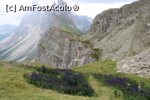 [P04] Val Gardena - Seceda » foto by doina_c24
 - 
<span class="allrVoted glyphicon glyphicon-heart hidden" id="av1158491"></span>
<a class="m-l-10 hidden" id="sv1158491" onclick="voting_Foto_DelVot(,1158491,26281)" role="button">șterge vot <span class="glyphicon glyphicon-remove"></span></a>
<a id="v91158491" class=" c-red"  onclick="voting_Foto_SetVot(1158491)" role="button"><span class="glyphicon glyphicon-heart-empty"></span> <b>LIKE</b> = Votează poza</a> <img class="hidden"  id="f1158491W9" src="/imagini/loader.gif" border="0" /><span class="AjErrMes hidden" id="e1158491ErM"></span>