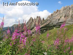 [P41] Val Gardena - Dantercepies, peisaje la superlativ!  » foto by doina_c24
 - 
<span class="allrVoted glyphicon glyphicon-heart hidden" id="av1158621"></span>
<a class="m-l-10 hidden" id="sv1158621" onclick="voting_Foto_DelVot(,1158621,26281)" role="button">șterge vot <span class="glyphicon glyphicon-remove"></span></a>
<a id="v91158621" class=" c-red"  onclick="voting_Foto_SetVot(1158621)" role="button"><span class="glyphicon glyphicon-heart-empty"></span> <b>LIKE</b> = Votează poza</a> <img class="hidden"  id="f1158621W9" src="/imagini/loader.gif" border="0" /><span class="AjErrMes hidden" id="e1158621ErM"></span>