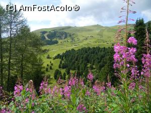 [P53] Val Gardena - Col Reiser » foto by doina_c24
 - 
<span class="allrVoted glyphicon glyphicon-heart hidden" id="av1158641"></span>
<a class="m-l-10 hidden" id="sv1158641" onclick="voting_Foto_DelVot(,1158641,26281)" role="button">șterge vot <span class="glyphicon glyphicon-remove"></span></a>
<a id="v91158641" class=" c-red"  onclick="voting_Foto_SetVot(1158641)" role="button"><span class="glyphicon glyphicon-heart-empty"></span> <b>LIKE</b> = Votează poza</a> <img class="hidden"  id="f1158641W9" src="/imagini/loader.gif" border="0" /><span class="AjErrMes hidden" id="e1158641ErM"></span>