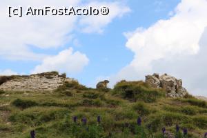 [P07] Val Gardena - Seceda, marmota la poză » foto by doina_c24
 - 
<span class="allrVoted glyphicon glyphicon-heart hidden" id="av1158500"></span>
<a class="m-l-10 hidden" id="sv1158500" onclick="voting_Foto_DelVot(,1158500,26281)" role="button">șterge vot <span class="glyphicon glyphicon-remove"></span></a>
<a id="v91158500" class=" c-red"  onclick="voting_Foto_SetVot(1158500)" role="button"><span class="glyphicon glyphicon-heart-empty"></span> <b>LIKE</b> = Votează poza</a> <img class="hidden"  id="f1158500W9" src="/imagini/loader.gif" border="0" /><span class="AjErrMes hidden" id="e1158500ErM"></span>