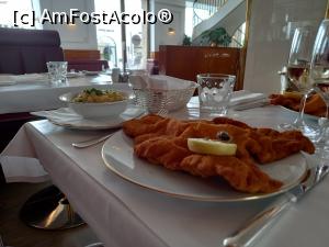 [P10] Șnițel bun și mare » foto by Mika
 - 
<span class="allrVoted glyphicon glyphicon-heart hidden" id="av1329129"></span>
<a class="m-l-10 hidden" id="sv1329129" onclick="voting_Foto_DelVot(,1329129,26283)" role="button">șterge vot <span class="glyphicon glyphicon-remove"></span></a>
<a id="v91329129" class=" c-red"  onclick="voting_Foto_SetVot(1329129)" role="button"><span class="glyphicon glyphicon-heart-empty"></span> <b>LIKE</b> = Votează poza</a> <img class="hidden"  id="f1329129W9" src="/imagini/loader.gif" border="0" /><span class="AjErrMes hidden" id="e1329129ErM"></span>