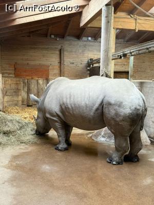 [P45] Grădina Zoologică din Salzburg » foto by adso
 - 
<span class="allrVoted glyphicon glyphicon-heart hidden" id="av1518946"></span>
<a class="m-l-10 hidden" id="sv1518946" onclick="voting_Foto_DelVot(,1518946,26283)" role="button">șterge vot <span class="glyphicon glyphicon-remove"></span></a>
<a id="v91518946" class=" c-red"  onclick="voting_Foto_SetVot(1518946)" role="button"><span class="glyphicon glyphicon-heart-empty"></span> <b>LIKE</b> = Votează poza</a> <img class="hidden"  id="f1518946W9" src="/imagini/loader.gif" border="0" /><span class="AjErrMes hidden" id="e1518946ErM"></span>