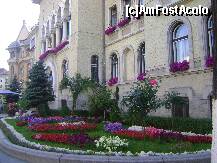 [P18] Targu Mures - Cladirea Primariei Tg. Mures » foto by biancuta
 - 
<span class="allrVoted glyphicon glyphicon-heart hidden" id="av217961"></span>
<a class="m-l-10 hidden" id="sv217961" onclick="voting_Foto_DelVot(,217961,26285)" role="button">șterge vot <span class="glyphicon glyphicon-remove"></span></a>
<a id="v9217961" class=" c-red"  onclick="voting_Foto_SetVot(217961)" role="button"><span class="glyphicon glyphicon-heart-empty"></span> <b>LIKE</b> = Votează poza</a> <img class="hidden"  id="f217961W9" src="/imagini/loader.gif" border="0" /><span class="AjErrMes hidden" id="e217961ErM"></span>