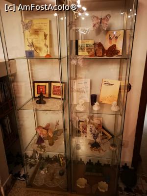 [P16] Fluturi peste tot! » foto by crismis
 - 
<span class="allrVoted glyphicon glyphicon-heart hidden" id="av1162207"></span>
<a class="m-l-10 hidden" id="sv1162207" onclick="voting_Foto_DelVot(,1162207,26309)" role="button">șterge vot <span class="glyphicon glyphicon-remove"></span></a>
<a id="v91162207" class=" c-red"  onclick="voting_Foto_SetVot(1162207)" role="button"><span class="glyphicon glyphicon-heart-empty"></span> <b>LIKE</b> = Votează poza</a> <img class="hidden"  id="f1162207W9" src="/imagini/loader.gif" border="0" /><span class="AjErrMes hidden" id="e1162207ErM"></span>