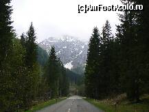 [P12] Roßfeld-Panoramastraße » foto by sigcristina
 - 
<span class="allrVoted glyphicon glyphicon-heart hidden" id="av296410"></span>
<a class="m-l-10 hidden" id="sv296410" onclick="voting_Foto_DelVot(,296410,26314)" role="button">șterge vot <span class="glyphicon glyphicon-remove"></span></a>
<a id="v9296410" class=" c-red"  onclick="voting_Foto_SetVot(296410)" role="button"><span class="glyphicon glyphicon-heart-empty"></span> <b>LIKE</b> = Votează poza</a> <img class="hidden"  id="f296410W9" src="/imagini/loader.gif" border="0" /><span class="AjErrMes hidden" id="e296410ErM"></span>