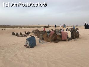 [P27] Zaafrane – la plimbare cu cămilele prin deşert - scurt popas în inima deşertului » foto by nicole33
 - 
<span class="allrVoted glyphicon glyphicon-heart hidden" id="av1164301"></span>
<a class="m-l-10 hidden" id="sv1164301" onclick="voting_Foto_DelVot(,1164301,26322)" role="button">șterge vot <span class="glyphicon glyphicon-remove"></span></a>
<a id="v91164301" class=" c-red"  onclick="voting_Foto_SetVot(1164301)" role="button"><span class="glyphicon glyphicon-heart-empty"></span> <b>LIKE</b> = Votează poza</a> <img class="hidden"  id="f1164301W9" src="/imagini/loader.gif" border="0" /><span class="AjErrMes hidden" id="e1164301ErM"></span>