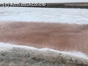 [P05] Chott el Jerid - ochi de apă colorat » foto by nicole33
 - 
<span class="allrVoted glyphicon glyphicon-heart hidden" id="av1165443"></span>
<a class="m-l-10 hidden" id="sv1165443" onclick="voting_Foto_DelVot(,1165443,26322)" role="button">șterge vot <span class="glyphicon glyphicon-remove"></span></a>
<a id="v91165443" class=" c-red"  onclick="voting_Foto_SetVot(1165443)" role="button"><span class="glyphicon glyphicon-heart-empty"></span> <b>LIKE</b> = Votează poza</a> <img class="hidden"  id="f1165443W9" src="/imagini/loader.gif" border="0" /><span class="AjErrMes hidden" id="e1165443ErM"></span>