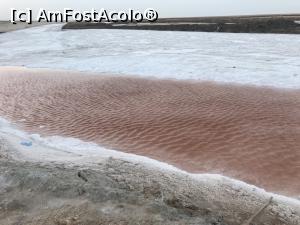 [P09] Chott el Jerid - ochi de apă colorat » foto by nicole33
 - 
<span class="allrVoted glyphicon glyphicon-heart hidden" id="av1165447"></span>
<a class="m-l-10 hidden" id="sv1165447" onclick="voting_Foto_DelVot(,1165447,26322)" role="button">șterge vot <span class="glyphicon glyphicon-remove"></span></a>
<a id="v91165447" class=" c-red"  onclick="voting_Foto_SetVot(1165447)" role="button"><span class="glyphicon glyphicon-heart-empty"></span> <b>LIKE</b> = Votează poza</a> <img class="hidden"  id="f1165447W9" src="/imagini/loader.gif" border="0" /><span class="AjErrMes hidden" id="e1165447ErM"></span>