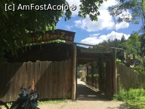 [P04] Gradina zoologica Ebbs - intrarea » foto by mishu
 - 
<span class="allrVoted glyphicon glyphicon-heart hidden" id="av1164707"></span>
<a class="m-l-10 hidden" id="sv1164707" onclick="voting_Foto_DelVot(,1164707,26325)" role="button">șterge vot <span class="glyphicon glyphicon-remove"></span></a>
<a id="v91164707" class=" c-red"  onclick="voting_Foto_SetVot(1164707)" role="button"><span class="glyphicon glyphicon-heart-empty"></span> <b>LIKE</b> = Votează poza</a> <img class="hidden"  id="f1164707W9" src="/imagini/loader.gif" border="0" /><span class="AjErrMes hidden" id="e1164707ErM"></span>