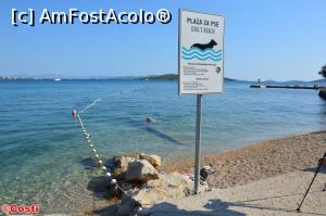 [P27] O plajă specială, pentru căței » foto by Costi
 - 
<span class="allrVoted glyphicon glyphicon-heart hidden" id="av1166358"></span>
<a class="m-l-10 hidden" id="sv1166358" onclick="voting_Foto_DelVot(,1166358,26339)" role="button">șterge vot <span class="glyphicon glyphicon-remove"></span></a>
<a id="v91166358" class=" c-red"  onclick="voting_Foto_SetVot(1166358)" role="button"><span class="glyphicon glyphicon-heart-empty"></span> <b>LIKE</b> = Votează poza</a> <img class="hidden"  id="f1166358W9" src="/imagini/loader.gif" border="0" /><span class="AjErrMes hidden" id="e1166358ErM"></span>