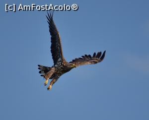 [P02] Fauna din jurul Milei 23 » foto by bajansorin
 - 
<span class="allrVoted glyphicon glyphicon-heart hidden" id="av1300767"></span>
<a class="m-l-10 hidden" id="sv1300767" onclick="voting_Foto_DelVot(,1300767,26432)" role="button">șterge vot <span class="glyphicon glyphicon-remove"></span></a>
<a id="v91300767" class=" c-red"  onclick="voting_Foto_SetVot(1300767)" role="button"><span class="glyphicon glyphicon-heart-empty"></span> <b>LIKE</b> = Votează poza</a> <img class="hidden"  id="f1300767W9" src="/imagini/loader.gif" border="0" /><span class="AjErrMes hidden" id="e1300767ErM"></span>