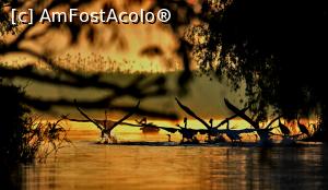 [P04] Fauna din jurul Milei 23 » foto by bajansorin
 - 
<span class="allrVoted glyphicon glyphicon-heart hidden" id="av1300769"></span>
<a class="m-l-10 hidden" id="sv1300769" onclick="voting_Foto_DelVot(,1300769,26432)" role="button">șterge vot <span class="glyphicon glyphicon-remove"></span></a>
<a id="v91300769" class=" c-red"  onclick="voting_Foto_SetVot(1300769)" role="button"><span class="glyphicon glyphicon-heart-empty"></span> <b>LIKE</b> = Votează poza</a> <img class="hidden"  id="f1300769W9" src="/imagini/loader.gif" border="0" /><span class="AjErrMes hidden" id="e1300769ErM"></span>