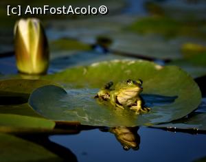 [P05] Fauna din jurul Milei 23 » foto by bajansorin
 - 
<span class="allrVoted glyphicon glyphicon-heart hidden" id="av1300770"></span>
<a class="m-l-10 hidden" id="sv1300770" onclick="voting_Foto_DelVot(,1300770,26432)" role="button">șterge vot <span class="glyphicon glyphicon-remove"></span></a>
<a id="v91300770" class=" c-red"  onclick="voting_Foto_SetVot(1300770)" role="button"><span class="glyphicon glyphicon-heart-empty"></span> <b>LIKE</b> = Votează poza</a> <img class="hidden"  id="f1300770W9" src="/imagini/loader.gif" border="0" /><span class="AjErrMes hidden" id="e1300770ErM"></span>