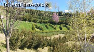 [P10]  -- <small>// FĂRĂ DESCRIERE</small> » foto by hd88gsg
 - 
<span class="allrVoted glyphicon glyphicon-heart hidden" id="av1523788"></span>
<a class="m-l-10 hidden" id="sv1523788" onclick="voting_Foto_DelVot(,1523788,26461)" role="button">șterge vot <span class="glyphicon glyphicon-remove"></span></a>
<a id="v91523788" class=" c-red"  onclick="voting_Foto_SetVot(1523788)" role="button"><span class="glyphicon glyphicon-heart-empty"></span> <b>LIKE</b> = Votează poza</a> <img class="hidden"  id="f1523788W9" src="/imagini/loader.gif" border="0" /><span class="AjErrMes hidden" id="e1523788ErM"></span>