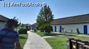 [P29] pe insula » foto by Yolanda
 - 
<span class="allrVoted glyphicon glyphicon-heart hidden" id="av1500544"></span>
<a class="m-l-10 hidden" id="sv1500544" onclick="voting_Foto_DelVot(,1500544,26463)" role="button">șterge vot <span class="glyphicon glyphicon-remove"></span></a>
<a id="v91500544" class=" c-red"  onclick="voting_Foto_SetVot(1500544)" role="button"><span class="glyphicon glyphicon-heart-empty"></span> <b>LIKE</b> = Votează poza</a> <img class="hidden"  id="f1500544W9" src="/imagini/loader.gif" border="0" /><span class="AjErrMes hidden" id="e1500544ErM"></span>