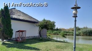 [P31] pe insula » foto by Yolanda
 - 
<span class="allrVoted glyphicon glyphicon-heart hidden" id="av1500546"></span>
<a class="m-l-10 hidden" id="sv1500546" onclick="voting_Foto_DelVot(,1500546,26463)" role="button">șterge vot <span class="glyphicon glyphicon-remove"></span></a>
<a id="v91500546" class=" c-red"  onclick="voting_Foto_SetVot(1500546)" role="button"><span class="glyphicon glyphicon-heart-empty"></span> <b>LIKE</b> = Votează poza</a> <img class="hidden"  id="f1500546W9" src="/imagini/loader.gif" border="0" /><span class="AjErrMes hidden" id="e1500546ErM"></span>