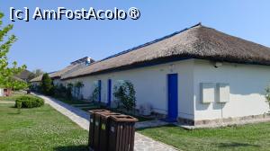 [P32] pe insula » foto by Yolanda
 - 
<span class="allrVoted glyphicon glyphicon-heart hidden" id="av1500547"></span>
<a class="m-l-10 hidden" id="sv1500547" onclick="voting_Foto_DelVot(,1500547,26463)" role="button">șterge vot <span class="glyphicon glyphicon-remove"></span></a>
<a id="v91500547" class=" c-red"  onclick="voting_Foto_SetVot(1500547)" role="button"><span class="glyphicon glyphicon-heart-empty"></span> <b>LIKE</b> = Votează poza</a> <img class="hidden"  id="f1500547W9" src="/imagini/loader.gif" border="0" /><span class="AjErrMes hidden" id="e1500547ErM"></span>