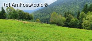 [P01] Verde de septembrie în zona Câmpeni. » foto by tata123 🔱
 - 
<span class="allrVoted glyphicon glyphicon-heart hidden" id="av1500344"></span>
<a class="m-l-10 hidden" id="sv1500344" onclick="voting_Foto_DelVot(,1500344,26507)" role="button">șterge vot <span class="glyphicon glyphicon-remove"></span></a>
<a id="v91500344" class=" c-red"  onclick="voting_Foto_SetVot(1500344)" role="button"><span class="glyphicon glyphicon-heart-empty"></span> <b>LIKE</b> = Votează poza</a> <img class="hidden"  id="f1500344W9" src="/imagini/loader.gif" border="0" /><span class="AjErrMes hidden" id="e1500344ErM"></span>