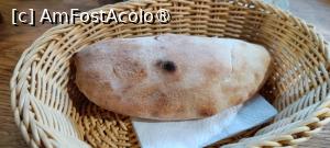 [P16] O pâinică gustoasă. » foto by tata123 🔱
 - 
<span class="allrVoted glyphicon glyphicon-heart hidden" id="av1500359"></span>
<a class="m-l-10 hidden" id="sv1500359" onclick="voting_Foto_DelVot(,1500359,26507)" role="button">șterge vot <span class="glyphicon glyphicon-remove"></span></a>
<a id="v91500359" class=" c-red"  onclick="voting_Foto_SetVot(1500359)" role="button"><span class="glyphicon glyphicon-heart-empty"></span> <b>LIKE</b> = Votează poza</a> <img class="hidden"  id="f1500359W9" src="/imagini/loader.gif" border="0" /><span class="AjErrMes hidden" id="e1500359ErM"></span>