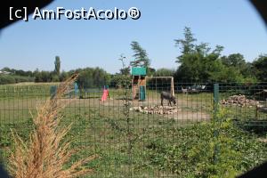 [P09] loc de joacă pt copii » foto by Taraxacus
 - 
<span class="allrVoted glyphicon glyphicon-heart hidden" id="av1182725"></span>
<a class="m-l-10 hidden" id="sv1182725" onclick="voting_Foto_DelVot(,1182725,26570)" role="button">șterge vot <span class="glyphicon glyphicon-remove"></span></a>
<a id="v91182725" class=" c-red"  onclick="voting_Foto_SetVot(1182725)" role="button"><span class="glyphicon glyphicon-heart-empty"></span> <b>LIKE</b> = Votează poza</a> <img class="hidden"  id="f1182725W9" src="/imagini/loader.gif" border="0" /><span class="AjErrMes hidden" id="e1182725ErM"></span>