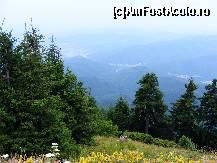 [P17]  -- <small>// FĂRĂ DESCRIERE</small> » foto by crima
 - 
<span class="allrVoted glyphicon glyphicon-heart hidden" id="av19242"></span>
<a class="m-l-10 hidden" id="sv19242" onclick="voting_Foto_DelVot(,19242,26627)" role="button">șterge vot <span class="glyphicon glyphicon-remove"></span></a>
<a id="v919242" class=" c-red"  onclick="voting_Foto_SetVot(19242)" role="button"><span class="glyphicon glyphicon-heart-empty"></span> <b>LIKE</b> = Votează poza</a> <img class="hidden"  id="f19242W9" src="/imagini/loader.gif" border="0" /><span class="AjErrMes hidden" id="e19242ErM"></span>