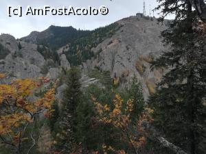 [P15] V&acirc;rful Ciuha Mică » foto by Mika
 - 
<span class="allrVoted glyphicon glyphicon-heart hidden" id="av1198855"></span>
<a class="m-l-10 hidden" id="sv1198855" onclick="voting_Foto_DelVot(,1198855,26627)" role="button">șterge vot <span class="glyphicon glyphicon-remove"></span></a>
<a id="v91198855" class=" c-red"  onclick="voting_Foto_SetVot(1198855)" role="button"><span class="glyphicon glyphicon-heart-empty"></span> <b>LIKE</b> = Votează poza</a> <img class="hidden"  id="f1198855W9" src="/imagini/loader.gif" border="0" /><span class="AjErrMes hidden" id="e1198855ErM"></span>