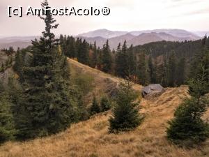 [P22] St&acirc;na Foarfecii » foto by Mika
 - 
<span class="allrVoted glyphicon glyphicon-heart hidden" id="av1198862"></span>
<a class="m-l-10 hidden" id="sv1198862" onclick="voting_Foto_DelVot(,1198862,26627)" role="button">șterge vot <span class="glyphicon glyphicon-remove"></span></a>
<a id="v91198862" class=" c-red"  onclick="voting_Foto_SetVot(1198862)" role="button"><span class="glyphicon glyphicon-heart-empty"></span> <b>LIKE</b> = Votează poza</a> <img class="hidden"  id="f1198862W9" src="/imagini/loader.gif" border="0" /><span class="AjErrMes hidden" id="e1198862ErM"></span>