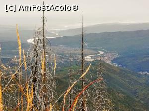 [P26] Valea Oltului » foto by Mika
 - 
<span class="allrVoted glyphicon glyphicon-heart hidden" id="av1198866"></span>
<a class="m-l-10 hidden" id="sv1198866" onclick="voting_Foto_DelVot(,1198866,26627)" role="button">șterge vot <span class="glyphicon glyphicon-remove"></span></a>
<a id="v91198866" class=" c-red"  onclick="voting_Foto_SetVot(1198866)" role="button"><span class="glyphicon glyphicon-heart-empty"></span> <b>LIKE</b> = Votează poza</a> <img class="hidden"  id="f1198866W9" src="/imagini/loader.gif" border="0" /><span class="AjErrMes hidden" id="e1198866ErM"></span>