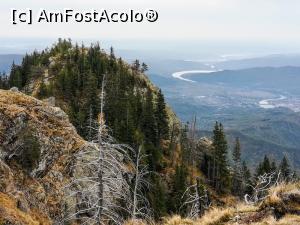 [P29] Colțul Foarfecii și Valea Oltului » foto by Mika
 - 
<span class="allrVoted glyphicon glyphicon-heart hidden" id="av1198869"></span>
<a class="m-l-10 hidden" id="sv1198869" onclick="voting_Foto_DelVot(,1198869,26627)" role="button">șterge vot <span class="glyphicon glyphicon-remove"></span></a>
<a id="v91198869" class=" c-red"  onclick="voting_Foto_SetVot(1198869)" role="button"><span class="glyphicon glyphicon-heart-empty"></span> <b>LIKE</b> = Votează poza</a> <img class="hidden"  id="f1198869W9" src="/imagini/loader.gif" border="0" /><span class="AjErrMes hidden" id="e1198869ErM"></span>