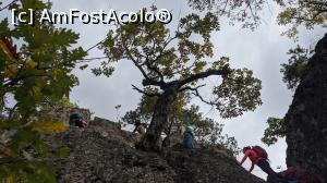 [P05] Pe Valea Gardului spre Șeuța Doctorului - Un mic cocoț pe st&acirc;ncării » foto by Mika
 - 
<span class="allrVoted glyphicon glyphicon-heart hidden" id="av1198845"></span>
<a class="m-l-10 hidden" id="sv1198845" onclick="voting_Foto_DelVot(,1198845,26627)" role="button">șterge vot <span class="glyphicon glyphicon-remove"></span></a>
<a id="v91198845" class=" c-red"  onclick="voting_Foto_SetVot(1198845)" role="button"><span class="glyphicon glyphicon-heart-empty"></span> <b>LIKE</b> = Votează poza</a> <img class="hidden"  id="f1198845W9" src="/imagini/loader.gif" border="0" /><span class="AjErrMes hidden" id="e1198845ErM"></span>