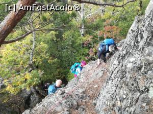 [P06] Pe Valea Gardului spre Șeuța Doctorului - Partea mai dificilă a traseului » foto by Mika
 - 
<span class="allrVoted glyphicon glyphicon-heart hidden" id="av1198846"></span>
<a class="m-l-10 hidden" id="sv1198846" onclick="voting_Foto_DelVot(,1198846,26627)" role="button">șterge vot <span class="glyphicon glyphicon-remove"></span></a>
<a id="v91198846" class=" c-red"  onclick="voting_Foto_SetVot(1198846)" role="button"><span class="glyphicon glyphicon-heart-empty"></span> <b>LIKE</b> = Votează poza</a> <img class="hidden"  id="f1198846W9" src="/imagini/loader.gif" border="0" /><span class="AjErrMes hidden" id="e1198846ErM"></span>