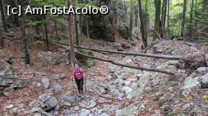 [P08] Pe Valea Gardului spre Șeuța Doctorului » foto by Mika
 - 
<span class="allrVoted glyphicon glyphicon-heart hidden" id="av1198848"></span>
<a class="m-l-10 hidden" id="sv1198848" onclick="voting_Foto_DelVot(,1198848,26627)" role="button">șterge vot <span class="glyphicon glyphicon-remove"></span></a>
<a id="v91198848" class=" c-red"  onclick="voting_Foto_SetVot(1198848)" role="button"><span class="glyphicon glyphicon-heart-empty"></span> <b>LIKE</b> = Votează poza</a> <img class="hidden"  id="f1198848W9" src="/imagini/loader.gif" border="0" /><span class="AjErrMes hidden" id="e1198848ErM"></span>