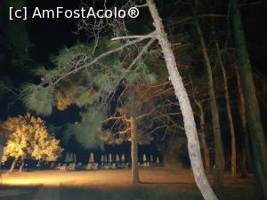 [P46] Barut Fethiye - un hotel aproape perfect - la vecini » foto by nicole33
 - 
<span class="allrVoted glyphicon glyphicon-heart hidden" id="av1201012"></span>
<a class="m-l-10 hidden" id="sv1201012" onclick="voting_Foto_DelVot(,1201012,26639)" role="button">șterge vot <span class="glyphicon glyphicon-remove"></span></a>
<a id="v91201012" class=" c-red"  onclick="voting_Foto_SetVot(1201012)" role="button"><span class="glyphicon glyphicon-heart-empty"></span> <b>LIKE</b> = Votează poza</a> <img class="hidden"  id="f1201012W9" src="/imagini/loader.gif" border="0" /><span class="AjErrMes hidden" id="e1201012ErM"></span>