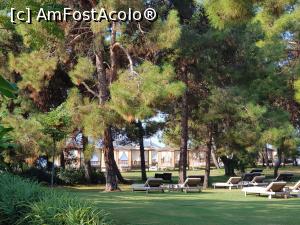 [P53] Barut Fethiye - un hotel aproape perfect - &icirc;n grădină » foto by nicole33
 - 
<span class="allrVoted glyphicon glyphicon-heart hidden" id="av1201019"></span>
<a class="m-l-10 hidden" id="sv1201019" onclick="voting_Foto_DelVot(,1201019,26639)" role="button">șterge vot <span class="glyphicon glyphicon-remove"></span></a>
<a id="v91201019" class=" c-red"  onclick="voting_Foto_SetVot(1201019)" role="button"><span class="glyphicon glyphicon-heart-empty"></span> <b>LIKE</b> = Votează poza</a> <img class="hidden"  id="f1201019W9" src="/imagini/loader.gif" border="0" /><span class="AjErrMes hidden" id="e1201019ErM"></span>