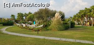 [P06] Barut Fethiye - un hotel aproape perfect - zonă de relaxare &icirc;n grădină » foto by nicole33
 - 
<span class="allrVoted glyphicon glyphicon-heart hidden" id="av1200972"></span>
<a class="m-l-10 hidden" id="sv1200972" onclick="voting_Foto_DelVot(,1200972,26639)" role="button">șterge vot <span class="glyphicon glyphicon-remove"></span></a>
<a id="v91200972" class=" c-red"  onclick="voting_Foto_SetVot(1200972)" role="button"><span class="glyphicon glyphicon-heart-empty"></span> <b>LIKE</b> = Votează poza</a> <img class="hidden"  id="f1200972W9" src="/imagini/loader.gif" border="0" /><span class="AjErrMes hidden" id="e1200972ErM"></span>