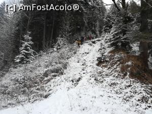 [P46] Ulrtima coborâre inainte de a ajunge in drumul forestier, la fosta cabană Limbășel » foto by Mika
 - 
<span class="allrVoted glyphicon glyphicon-heart hidden" id="av1214112"></span>
<a class="m-l-10 hidden" id="sv1214112" onclick="voting_Foto_DelVot(,1214112,26716)" role="button">șterge vot <span class="glyphicon glyphicon-remove"></span></a>
<a id="v91214112" class=" c-red"  onclick="voting_Foto_SetVot(1214112)" role="button"><span class="glyphicon glyphicon-heart-empty"></span> <b>LIKE</b> = Votează poza</a> <img class="hidden"  id="f1214112W9" src="/imagini/loader.gif" border="0" /><span class="AjErrMes hidden" id="e1214112ErM"></span>