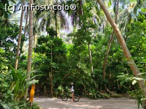 [P14] Vegetatie ! » foto by respect27
 - 
<span class="allrVoted glyphicon glyphicon-heart hidden" id="av1218857"></span>
<a class="m-l-10 hidden" id="sv1218857" onclick="voting_Foto_DelVot(,1218857,26756)" role="button">șterge vot <span class="glyphicon glyphicon-remove"></span></a>
<a id="v91218857" class=" c-red"  onclick="voting_Foto_SetVot(1218857)" role="button"><span class="glyphicon glyphicon-heart-empty"></span> <b>LIKE</b> = Votează poza</a> <img class="hidden"  id="f1218857W9" src="/imagini/loader.gif" border="0" /><span class="AjErrMes hidden" id="e1218857ErM"></span>