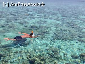 [P24] Subsemnatul » foto by respect27
 - 
<span class="allrVoted glyphicon glyphicon-heart hidden" id="av1218867"></span>
<a class="m-l-10 hidden" id="sv1218867" onclick="voting_Foto_DelVot(,1218867,26756)" role="button">șterge vot <span class="glyphicon glyphicon-remove"></span></a>
<a id="v91218867" class=" c-red"  onclick="voting_Foto_SetVot(1218867)" role="button"><span class="glyphicon glyphicon-heart-empty"></span> <b>LIKE</b> = Votează poza</a> <img class="hidden"  id="f1218867W9" src="/imagini/loader.gif" border="0" /><span class="AjErrMes hidden" id="e1218867ErM"></span>