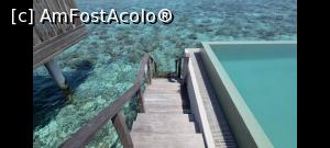 [P29] Scarile catre apa, ultimele trepte foarte alunecoase » foto by respect27
 - 
<span class="allrVoted glyphicon glyphicon-heart hidden" id="av1218872"></span>
<a class="m-l-10 hidden" id="sv1218872" onclick="voting_Foto_DelVot(,1218872,26756)" role="button">șterge vot <span class="glyphicon glyphicon-remove"></span></a>
<a id="v91218872" class=" c-red"  onclick="voting_Foto_SetVot(1218872)" role="button"><span class="glyphicon glyphicon-heart-empty"></span> <b>LIKE</b> = Votează poza</a> <img class="hidden"  id="f1218872W9" src="/imagini/loader.gif" border="0" /><span class="AjErrMes hidden" id="e1218872ErM"></span>