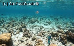 [P39] Pestisori ! » foto by respect27
 - 
<span class="allrVoted glyphicon glyphicon-heart hidden" id="av1218882"></span>
<a class="m-l-10 hidden" id="sv1218882" onclick="voting_Foto_DelVot(,1218882,26756)" role="button">șterge vot <span class="glyphicon glyphicon-remove"></span></a>
<a id="v91218882" class=" c-red"  onclick="voting_Foto_SetVot(1218882)" role="button"><span class="glyphicon glyphicon-heart-empty"></span> <b>LIKE</b> = Votează poza</a> <img class="hidden"  id="f1218882W9" src="/imagini/loader.gif" border="0" /><span class="AjErrMes hidden" id="e1218882ErM"></span>