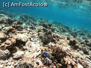 [P40] Alti pesti! » foto by respect27
 - 
<span class="allrVoted glyphicon glyphicon-heart hidden" id="av1218883"></span>
<a class="m-l-10 hidden" id="sv1218883" onclick="voting_Foto_DelVot(,1218883,26756)" role="button">șterge vot <span class="glyphicon glyphicon-remove"></span></a>
<a id="v91218883" class=" c-red"  onclick="voting_Foto_SetVot(1218883)" role="button"><span class="glyphicon glyphicon-heart-empty"></span> <b>LIKE</b> = Votează poza</a> <img class="hidden"  id="f1218883W9" src="/imagini/loader.gif" border="0" /><span class="AjErrMes hidden" id="e1218883ErM"></span>