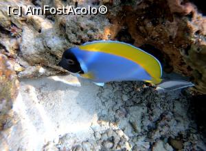 [P43] peste viu colorat » foto by respect27
 - 
<span class="allrVoted glyphicon glyphicon-heart hidden" id="av1218886"></span>
<a class="m-l-10 hidden" id="sv1218886" onclick="voting_Foto_DelVot(,1218886,26756)" role="button">șterge vot <span class="glyphicon glyphicon-remove"></span></a>
<a id="v91218886" class=" c-red"  onclick="voting_Foto_SetVot(1218886)" role="button"><span class="glyphicon glyphicon-heart-empty"></span> <b>LIKE</b> = Votează poza</a> <img class="hidden"  id="f1218886W9" src="/imagini/loader.gif" border="0" /><span class="AjErrMes hidden" id="e1218886ErM"></span>