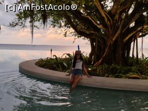 [P44] piscina si copacul din mijlocul ei » foto by respect27
 - 
<span class="allrVoted glyphicon glyphicon-heart hidden" id="av1218887"></span>
<a class="m-l-10 hidden" id="sv1218887" onclick="voting_Foto_DelVot(,1218887,26756)" role="button">șterge vot <span class="glyphicon glyphicon-remove"></span></a>
<a id="v91218887" class=" c-red"  onclick="voting_Foto_SetVot(1218887)" role="button"><span class="glyphicon glyphicon-heart-empty"></span> <b>LIKE</b> = Votează poza</a> <img class="hidden"  id="f1218887W9" src="/imagini/loader.gif" border="0" /><span class="AjErrMes hidden" id="e1218887ErM"></span>