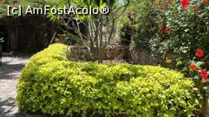 [P16] grădina paradisiacă » foto by robert
 - 
<span class="allrVoted glyphicon glyphicon-heart hidden" id="av1222528"></span>
<a class="m-l-10 hidden" id="sv1222528" onclick="voting_Foto_DelVot(,1222528,26785)" role="button">șterge vot <span class="glyphicon glyphicon-remove"></span></a>
<a id="v91222528" class=" c-red"  onclick="voting_Foto_SetVot(1222528)" role="button"><span class="glyphicon glyphicon-heart-empty"></span> <b>LIKE</b> = Votează poza</a> <img class="hidden"  id="f1222528W9" src="/imagini/loader.gif" border="0" /><span class="AjErrMes hidden" id="e1222528ErM"></span>