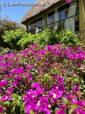 [P03] Kanta Lodge Konso » foto by robert
 - 
<span class="allrVoted glyphicon glyphicon-heart hidden" id="av1222515"></span>
<a class="m-l-10 hidden" id="sv1222515" onclick="voting_Foto_DelVot(,1222515,26785)" role="button">șterge vot <span class="glyphicon glyphicon-remove"></span></a>
<a id="v91222515" class=" c-red"  onclick="voting_Foto_SetVot(1222515)" role="button"><span class="glyphicon glyphicon-heart-empty"></span> <b>LIKE</b> = Votează poza</a> <img class="hidden"  id="f1222515W9" src="/imagini/loader.gif" border="0" /><span class="AjErrMes hidden" id="e1222515ErM"></span>