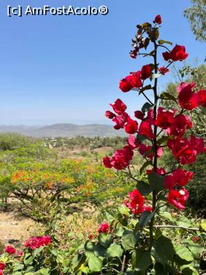 [P05] grădina paradisiacă » foto by robert
 - 
<span class="allrVoted glyphicon glyphicon-heart hidden" id="av1222517"></span>
<a class="m-l-10 hidden" id="sv1222517" onclick="voting_Foto_DelVot(,1222517,26785)" role="button">șterge vot <span class="glyphicon glyphicon-remove"></span></a>
<a id="v91222517" class=" c-red"  onclick="voting_Foto_SetVot(1222517)" role="button"><span class="glyphicon glyphicon-heart-empty"></span> <b>LIKE</b> = Votează poza</a> <img class="hidden"  id="f1222517W9" src="/imagini/loader.gif" border="0" /><span class="AjErrMes hidden" id="e1222517ErM"></span>