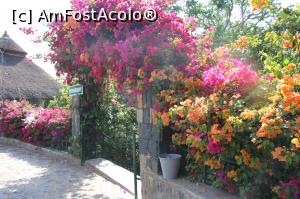 [P07] grădina paradisiacă » foto by robert
 - 
<span class="allrVoted glyphicon glyphicon-heart hidden" id="av1222519"></span>
<a class="m-l-10 hidden" id="sv1222519" onclick="voting_Foto_DelVot(,1222519,26785)" role="button">șterge vot <span class="glyphicon glyphicon-remove"></span></a>
<a id="v91222519" class=" c-red"  onclick="voting_Foto_SetVot(1222519)" role="button"><span class="glyphicon glyphicon-heart-empty"></span> <b>LIKE</b> = Votează poza</a> <img class="hidden"  id="f1222519W9" src="/imagini/loader.gif" border="0" /><span class="AjErrMes hidden" id="e1222519ErM"></span>