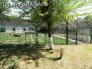 [P05] Zoo Calarasi » foto by ⭐ValentinB_88⭐
 - 
<span class="allrVoted glyphicon glyphicon-heart hidden" id="av1224603"></span>
<a class="m-l-10 hidden" id="sv1224603" onclick="voting_Foto_DelVot(,1224603,26802)" role="button">șterge vot <span class="glyphicon glyphicon-remove"></span></a>
<a id="v91224603" class=" c-red"  onclick="voting_Foto_SetVot(1224603)" role="button"><span class="glyphicon glyphicon-heart-empty"></span> <b>LIKE</b> = Votează poza</a> <img class="hidden"  id="f1224603W9" src="/imagini/loader.gif" border="0" /><span class="AjErrMes hidden" id="e1224603ErM"></span>